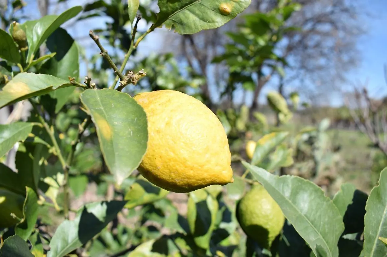 Ferienwohnung Etna Tra Le Querce Santa Venerina